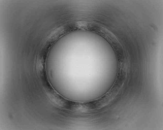 X0000115670702200911121153