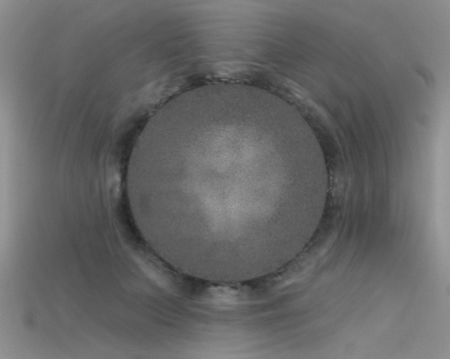X0000115670703200911121153