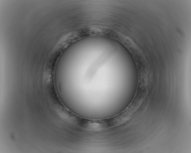 X0000115670706200911121153