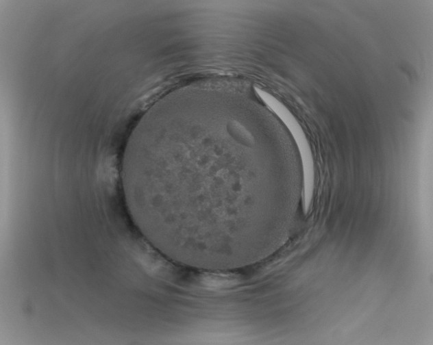 X0000115670707200911121153