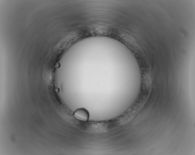 X0000115670709200911121153