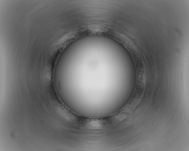 X0000115670710200911121153
