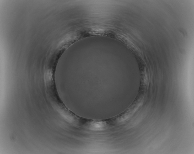 X0000115670711200911121153