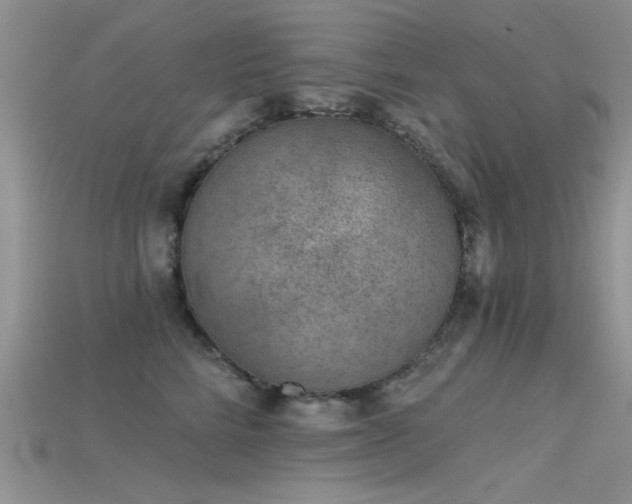 X0000115670712200911121153