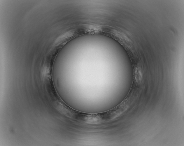 X0000115670714200911121153