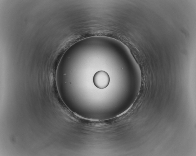 X0000115670716200911121153