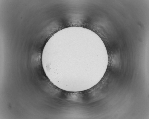 X0000115670717200911121153