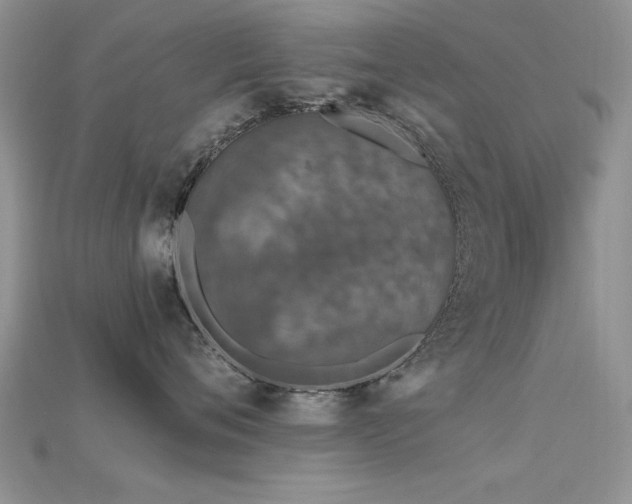 X0000115670720200911121153