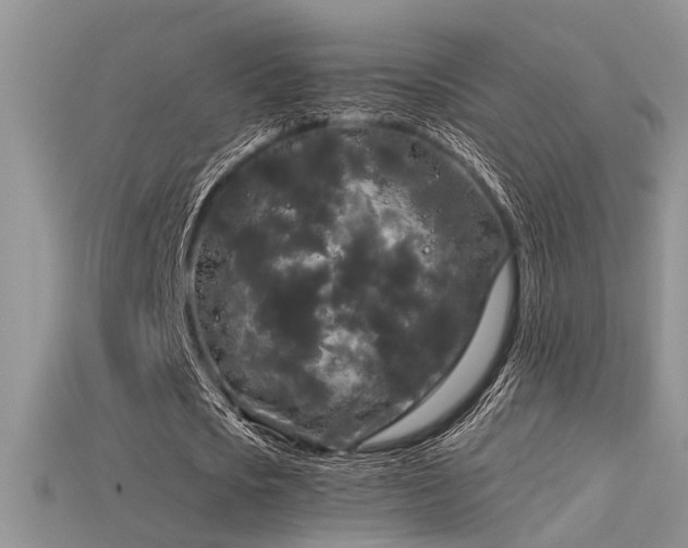 X0000115670721200911121152