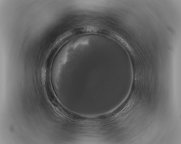X0000115670722200911121152