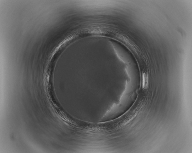 X0000115670723200911121152
