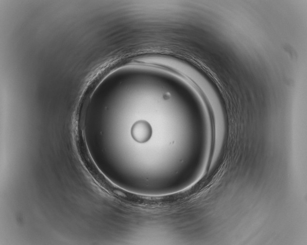 X0000115670725200911121152