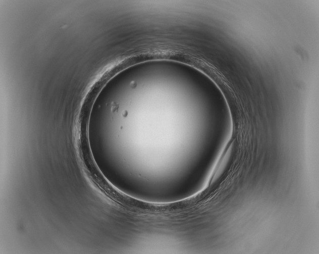X0000115670726200911121152