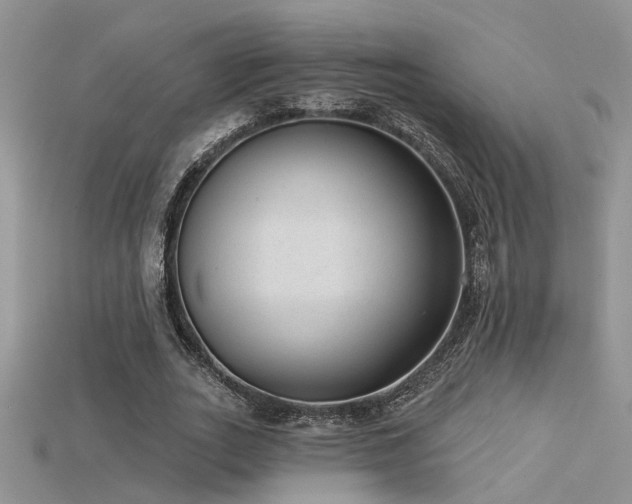 X0000115670727200911121152