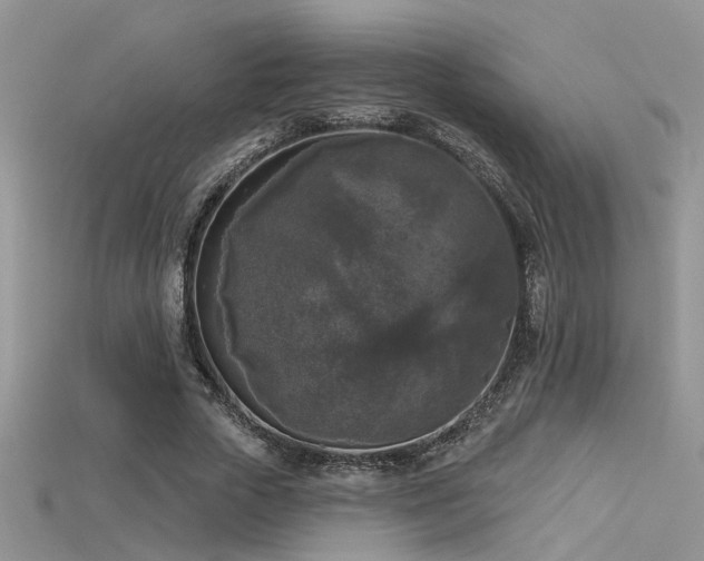 X0000115670729200911121152