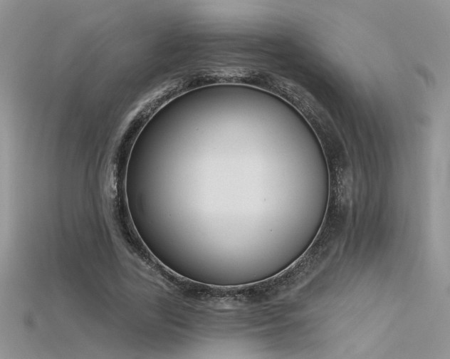 X0000115670731200911121152