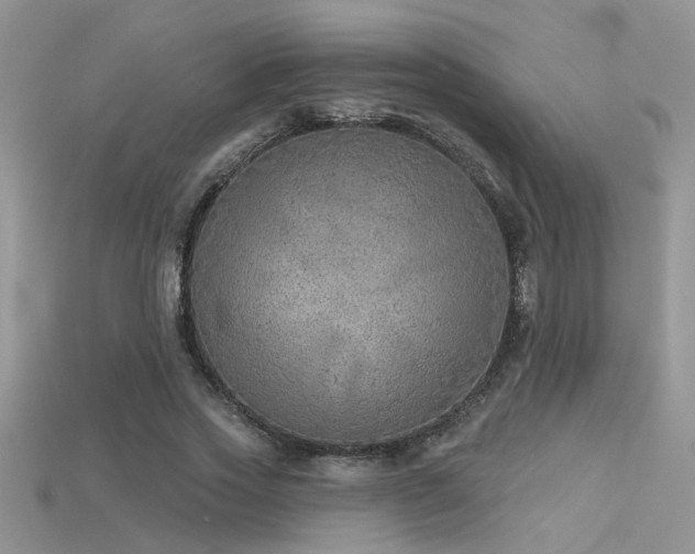 X0000115670733200911121152