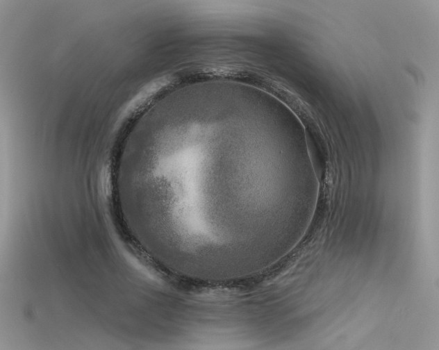X0000115670734200911121152