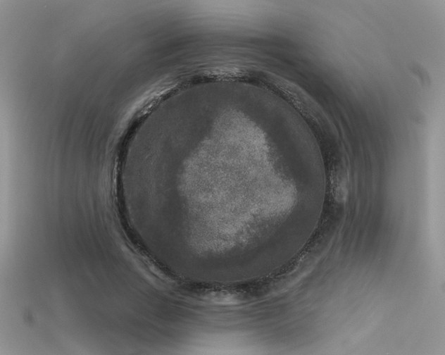X0000115670735200911121152