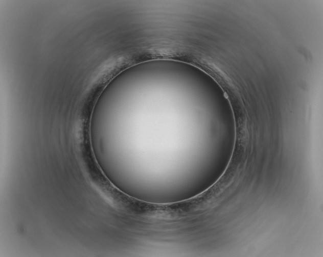 X0000115670738200911121152