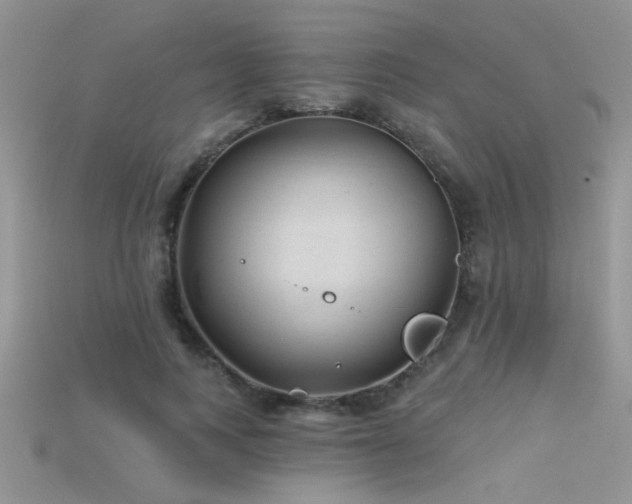 X0000115670743200911121152