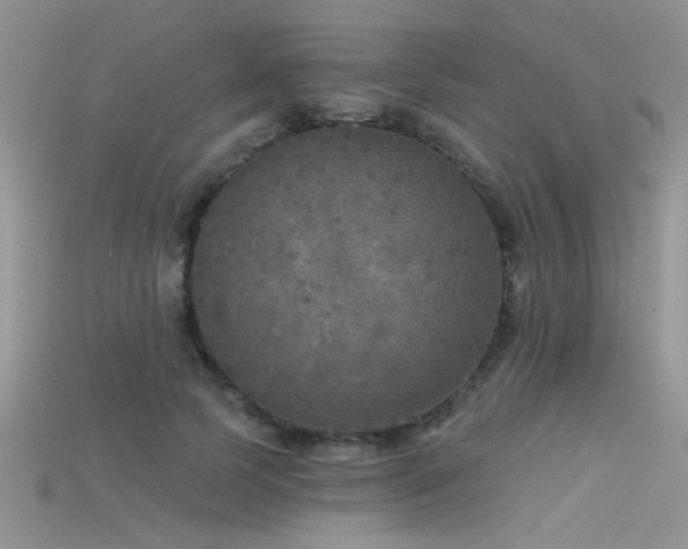 X0000115670745200911121152
