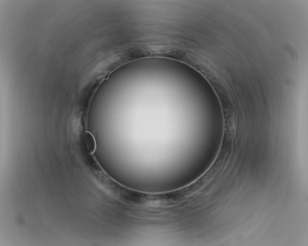 X0000115670746200911121152