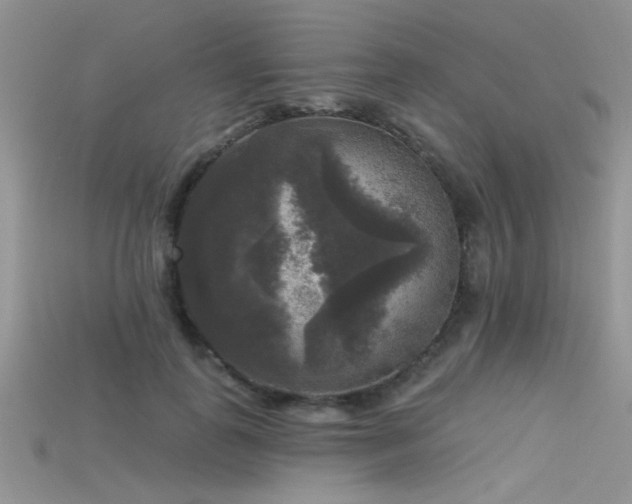 X0000115670747200911121152