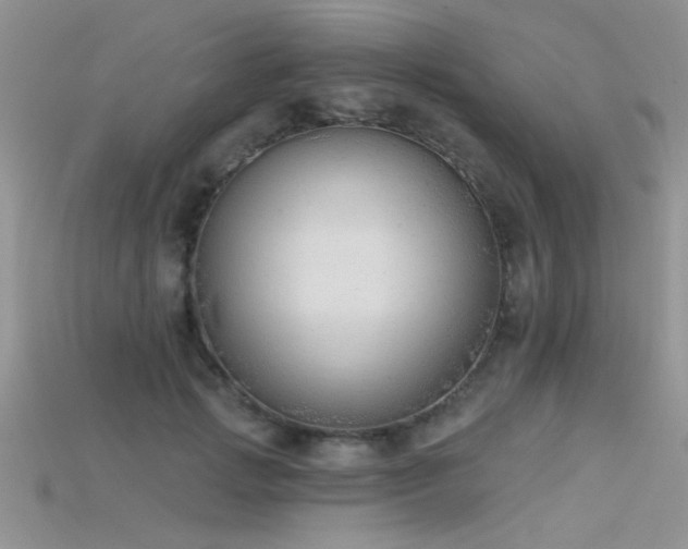 X0000115670749200911121152