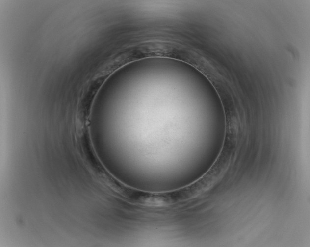 X0000115670751200911121152