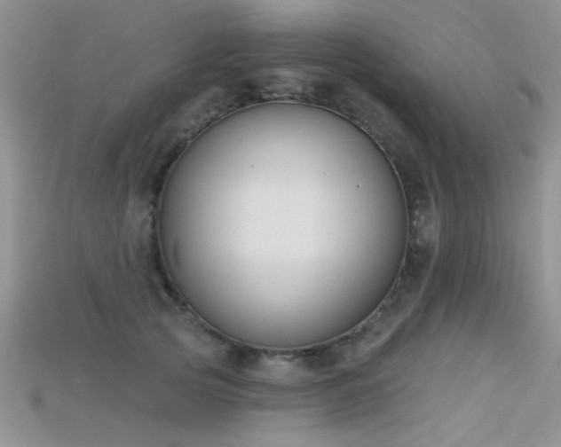 X0000115670753200911121152
