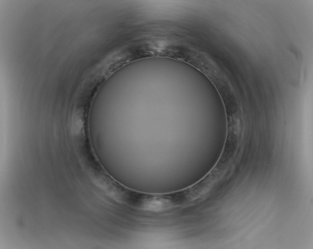 X0000115670754200911121152
