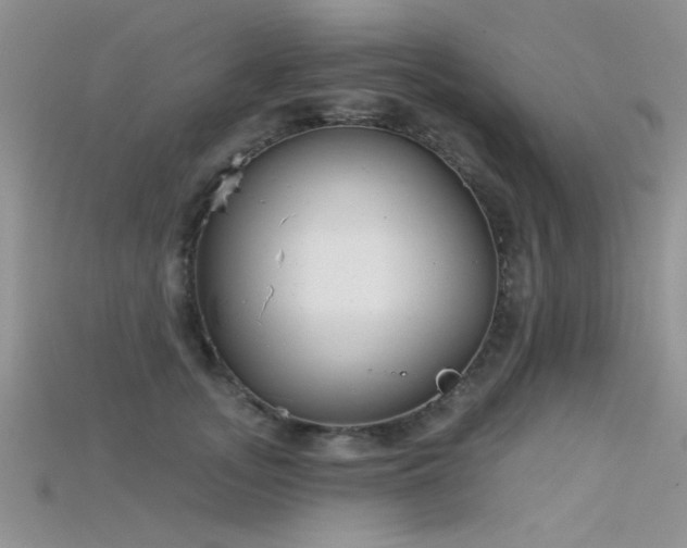 X0000115670755200911121152