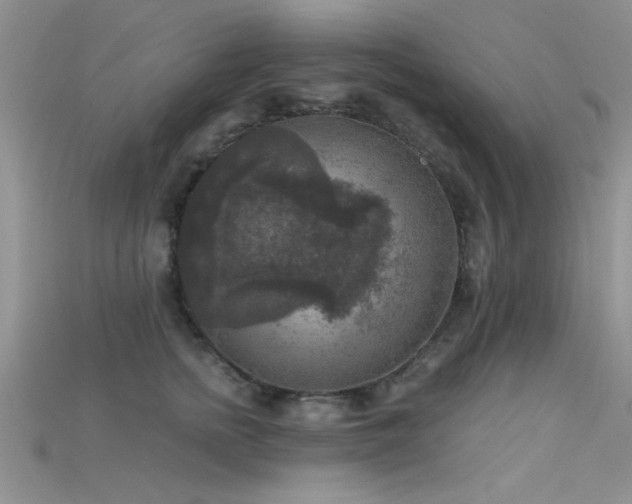 X0000115670758200911121152