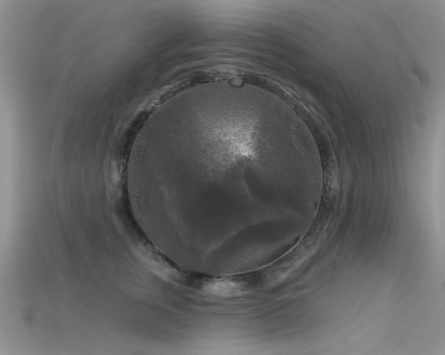 X0000115670759200911121152