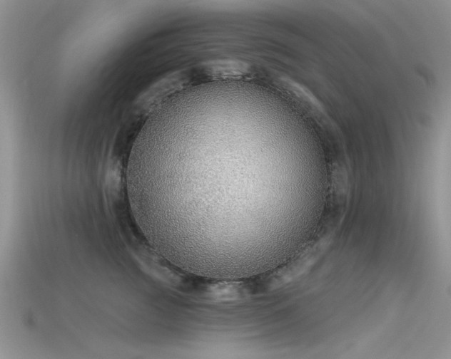 X0000115670761200911121153
