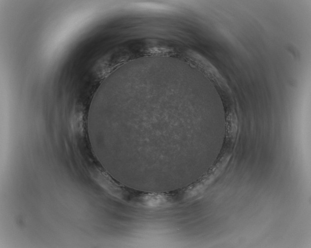 X0000115670762200911121153