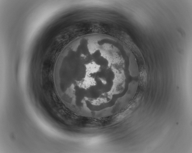 X0000115670765200911121153