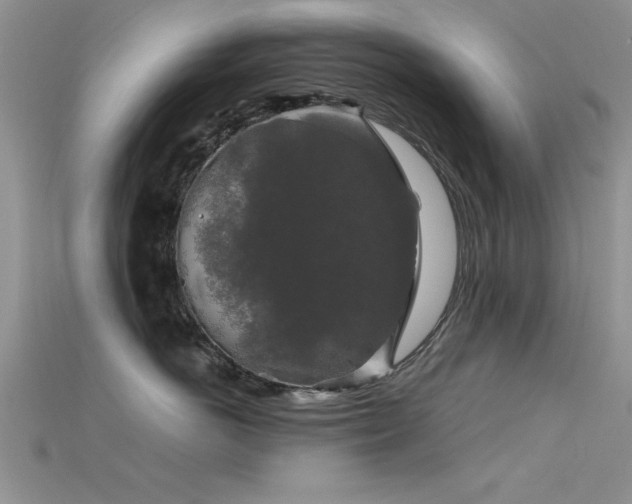 X0000115670766200911121153
