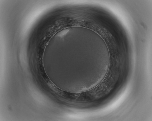 X0000115670767200911121153