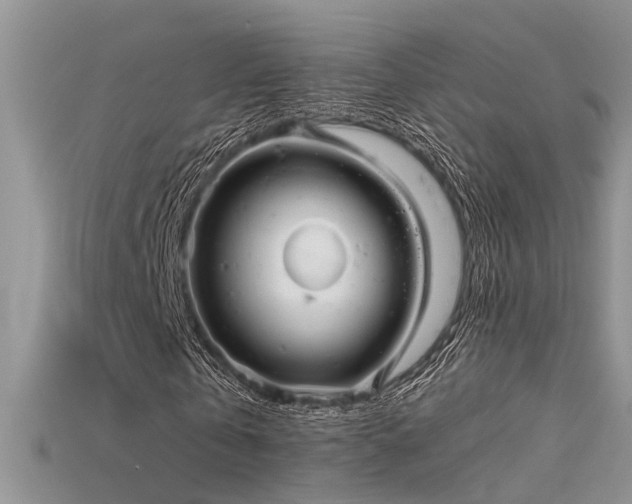 X0000115670769200911121152