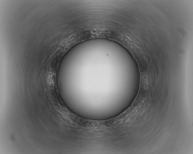 X0000115670770200911121152
