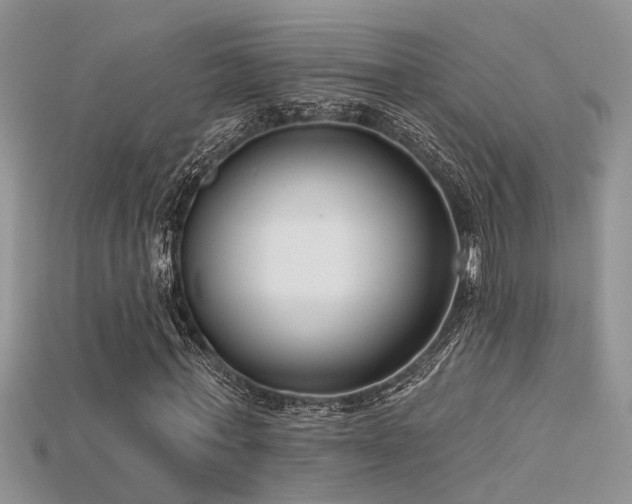 X0000115670771200911121152