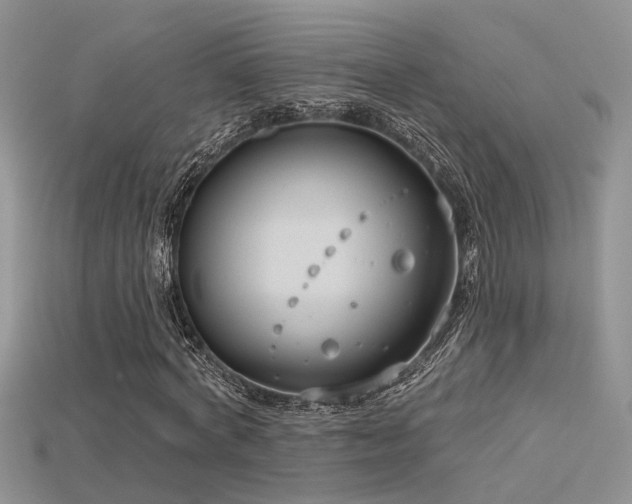 X0000115670772200911121152