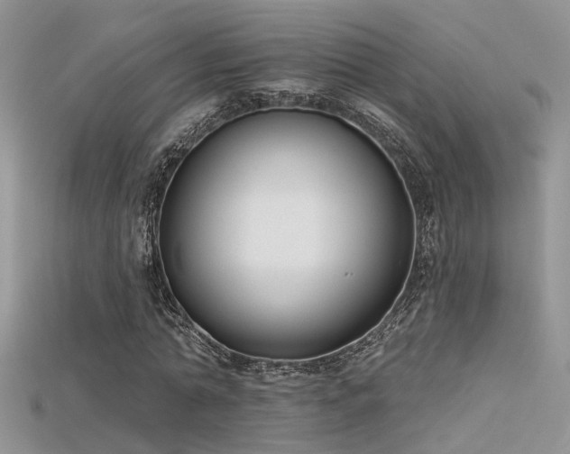 X0000115670774200911121152