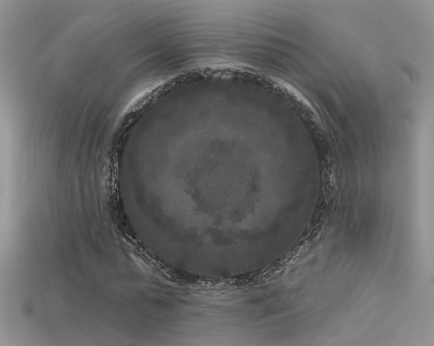 X0000115670775200911121152