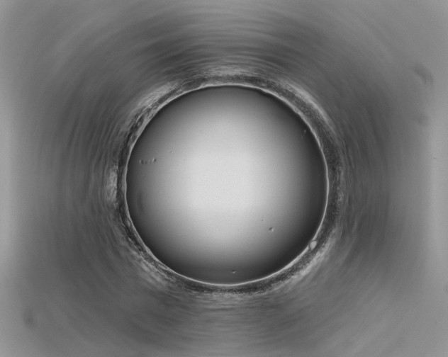 X0000115670777200911121152