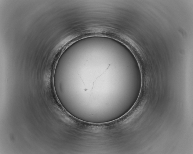 X0000115670778200911121152