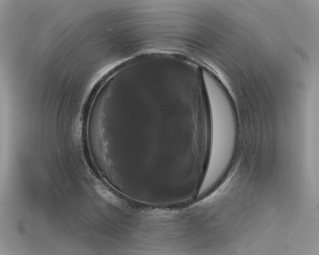 X0000115670779200911121152