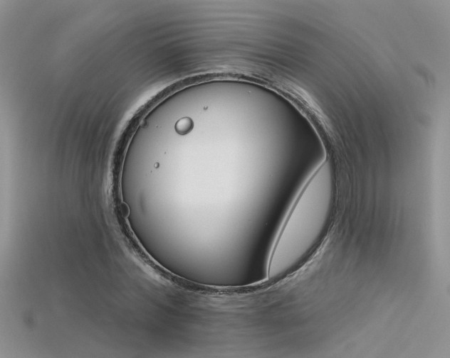 X0000115670780200911121152